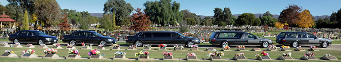 mason park vehicles